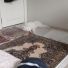 4,5 Aylık Samoyed Erkek
